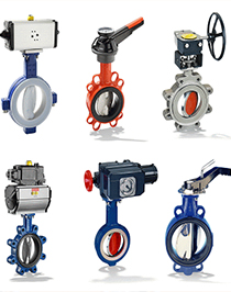 University campuses & schools